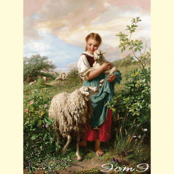 254 Little Shepherdess (m)