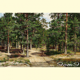 303 Sestroretsky Forest (m)