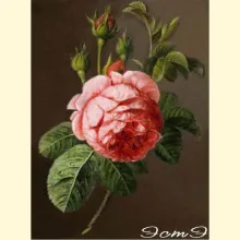 Скрин - компьютерное изображение схемы вышивки