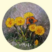 Скрин - компьютерное изображение схемы вышивки