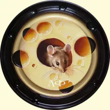 Скрин - компьютерное изображение схемы вышивки (с рамой)