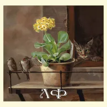 Скрин - компьютерное изображение схемы вышивки