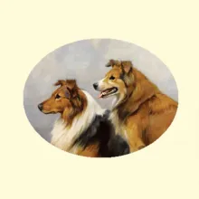 Скрин - компьютерное изображение схемы вышивки