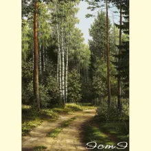 Скрин - компьютерное изображение схемы вышивки