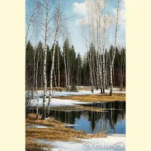 Скрин - компьютерное изображение схемы вышивки