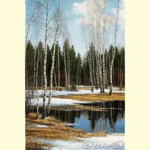 Скрин - компьютерное изображение схемы вышивки