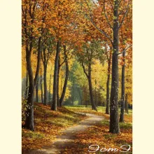 Скрин - компьютерное изображение схемы вышивки