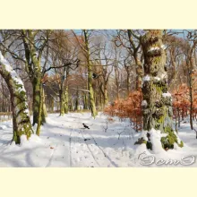 Скрин - компьютерное изображение схемы вышивки