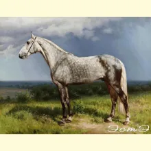 Скрин - компьютерное изображение схемы вышивки