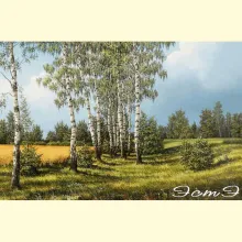 Скрин - компьютерное изображение схемы вышивки