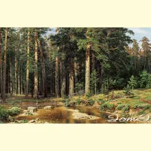 Скрин - компьютерное изображение схемы вышивки