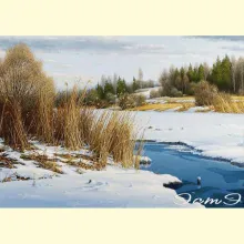 Скрин - компьютерное изображение схемы вышивки