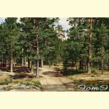 Скрин - компьютерное изображение схемы вышивки