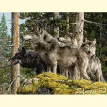 Скрин - компьютерное изображение схемы вышивки