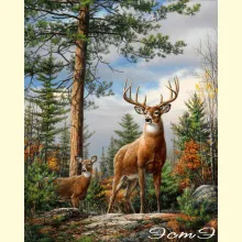 Скрин - компьютерное изображение схемы вышивки