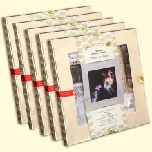 Оптовая коробка: наборы для вышивания 5 шт