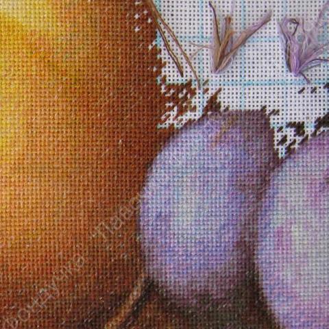 Вышивка - ткань: Страмин Конгресс 24 ct, техника: петит-поинт <br>Автор вышивки: Фондукова Ирина (fondu4ok)