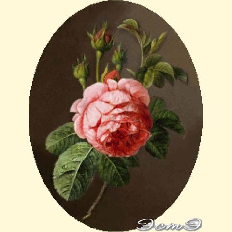 Скрин - компьютерное изображение схемы вышивки