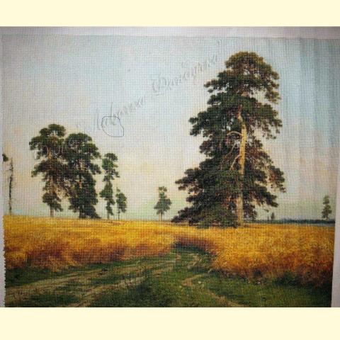 Вышивка  - ткань: Аида 18 ct, техника: крестик в 2 нитки<br>Автор вышивки: Нанеишвили Елена (Понедельник)