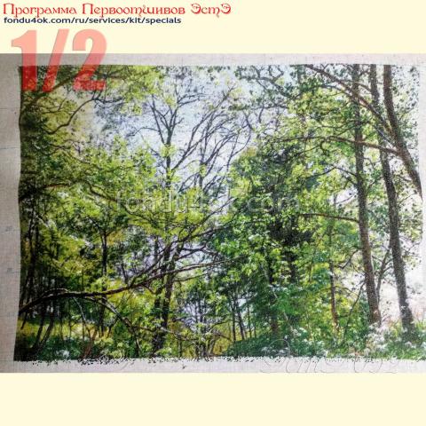 Вышивка - ткань: Страмин-Конгресс 24 ct, техника: петит/полукрест <br>Автор вышивки: Наталья Матвеева<br>Программа Первоотшивов 2020, приз 1/2 работы