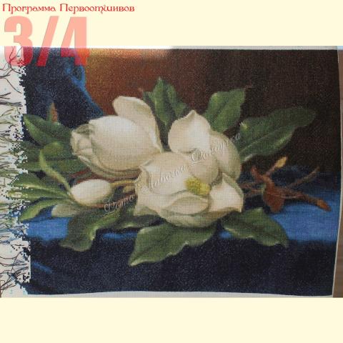 Вышивка  - ткань: Аида 18 ct, техника: крестик в 2 нитки<br>Автор вышивки: Анастасия Коржова (Stasya)<br>Программа Первоотшивов 2013, приз 3/4 работы