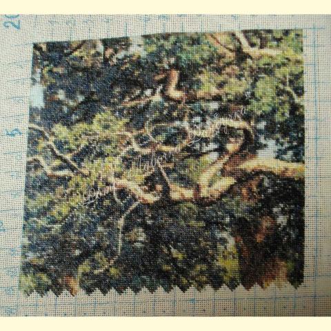 Вышивка - Ткань: Страмин-Конгресс 24 ct, техника: петит-полукрест <br>Автор вышивки: Елена Кудинова (елка)