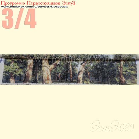 Вышивка - ткань: Лугана 25 ct, техника: петит-поинт <br>Автор вышивки: Плешкова Марина (Marnik)<br>Программа Первоотшивов 2015, приз 3/4 работы