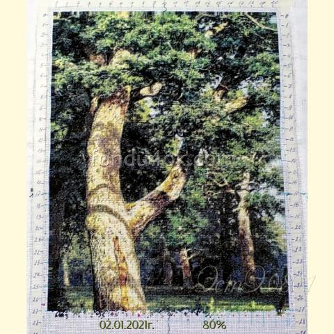 Вышивка - ткань: Страмин-Конгресс 24 ct, , техника: петит/полукрест <br>Автор вышивки: Галина Викторова (viktorovagalina)