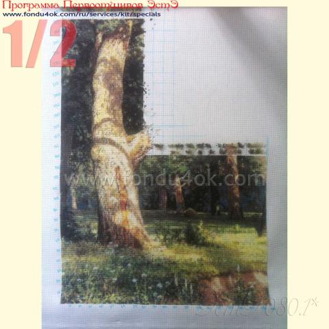 Вышивка - ткань: Аида 18 ct, техника: крестик в 2 нитки <br>Автор вышивки: Ольга Аксенова (Олька)<br>Программа Первоотшивов 2015, приз 1/2 работы
