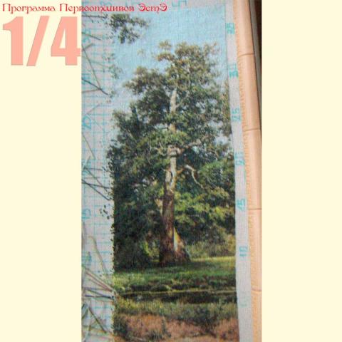 Вышивка - ткань: Линда 27 ct, техника: петит-поинт <br>Автор вышивки: Людмила Пинаева (люпин)<br>Программа Первоотшивов 2013, приз 1/4 работы