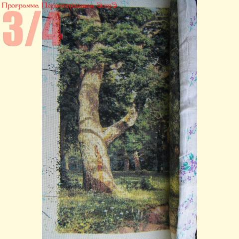 Вышивка - ткань: Линда 27 ct, техника: петит-поинт <br>Автор вышивки: Людмила Пинаева (люпин)<br>Программа Первоотшивов 2014, приз 3/4 работы