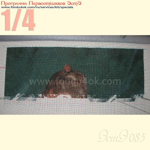 Вышивка - ткань: Страмин-Конгресс 24 ct, , техника: петит/полукрест <br>Автор вышивки: Елена Сухарева (Леночек)<br>Программа Первоотшивов 2015, приз 1/4 работы