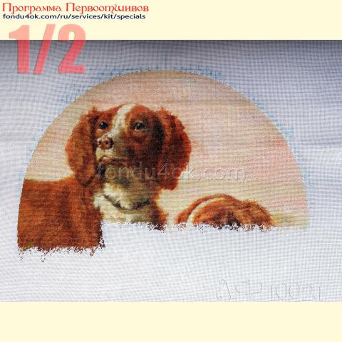 Вышивка - ткань: Страмин-Конгресс 24 ct, , техника: петит/полукрест <br>Автор вышивки: Светлана Блинова (Sveta_Germany)