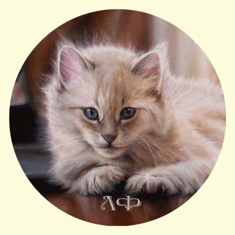 Скрин - компьютерное изображение схемы вышивки