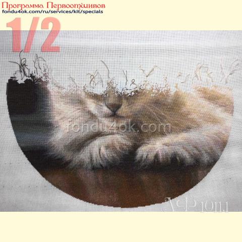 Вышивка - ткань: Конгресс-страмин 24 ct, техника: петит-полукрест <br>Автор вышивки: Татьяна Федина (tatusha)<br>Программа Первоотшивов 2022, приз 1/2 работы