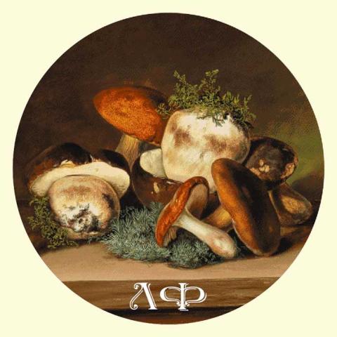 Скрин - компьютерное изображение схемы вышивки