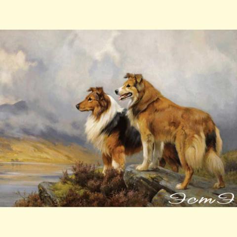 Скрин - компьютерное изображение схемы вышивки