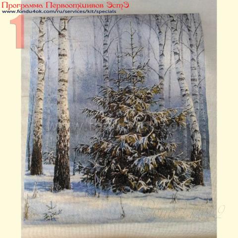 Вышивка  - ткань: Страмин-Конгресс 24 ct, , техника: петит/полукрест <br>Автор вышивки: Мария (marycia)<br>Программа Первоотшивов 2018, приз завершенная работа