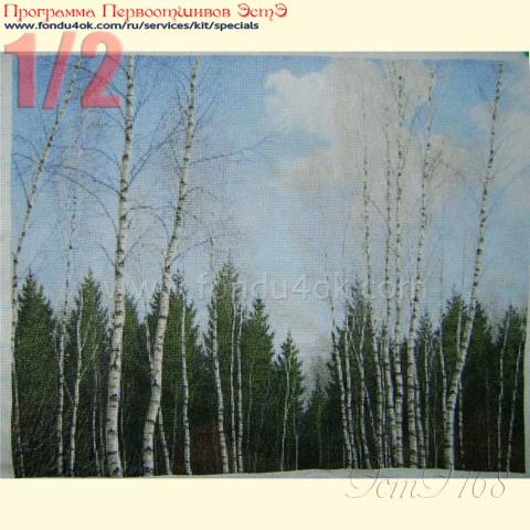 Вышивка  - ткань:  Аида 18 ct, техника: крестик в 2 нитки<br>Автор вышивки: Ольга Головина (Путешественница)<br>Программа Первоотшивов 2015, приз 1/2 работы