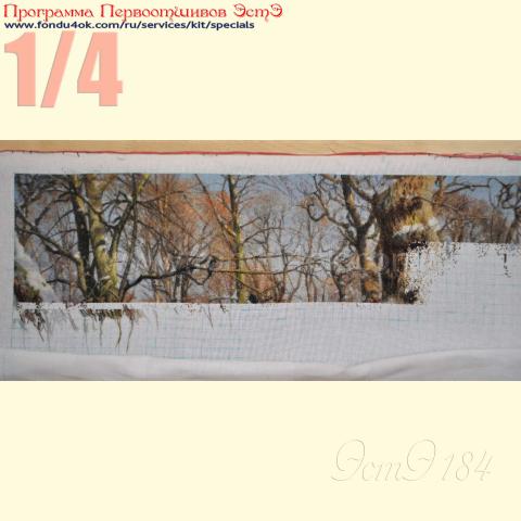 Вышивка  - ткань: Страмин-Конгресс 24 ct, , техника: петит/полукрест <br>Автор вышивки:  Ирина (vladavladimirovna1)<br>Программа Первоотшивов 2016, приз 1/4 работы