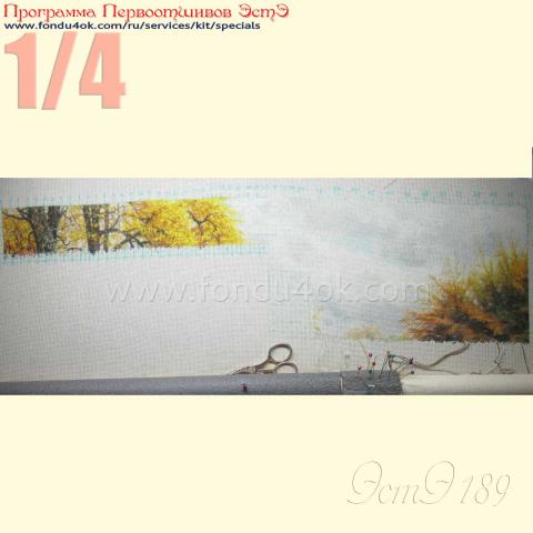 Вышивка  - ткань: Страмин-Конгресс 24 ct, , техника: петит/полукрест <br>Автор вышивки: Жмурова Екатерина (evamur)<br>Программа Первоотшивов 2015, приз 1/4 работы