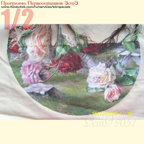 Вышивка - ткань: Страмин-Конгресс 24 ct, , техника: петит/полукрест <br>Автор вышивки: Майя Ячменева (YMN)<br>Программа Первоотшивов 2017, приз 1/2 работы