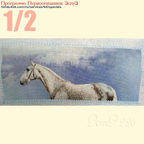 Вышивка - ткань: Конгресс Страмин 24 ct, техника: петит/полукрест <br>Автор вышивки: Денис Денисов<br>Программа Первоотшивов 2023, приз 1/2 работы