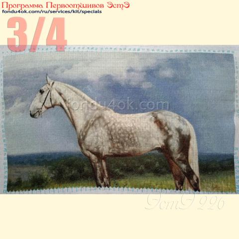 Вышивка - ткань: Конгресс Страмин 24 ct, техника: петит/полукрест <br>Автор вышивки: Денис Денисов<br>Программа Первоотшивов 2024, приз 3/4 работы