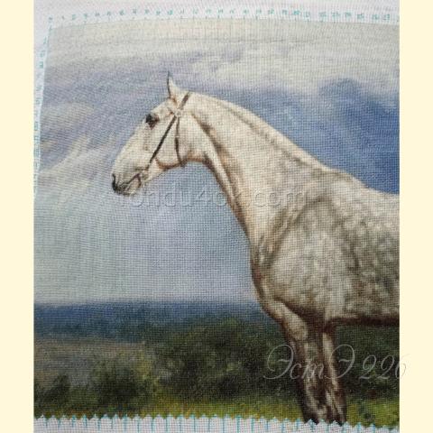 Вышивка - ткань: Конгресс Страмин 24 ct, техника: петит/полукрест <br>Автор вышивки: Денис Денисов