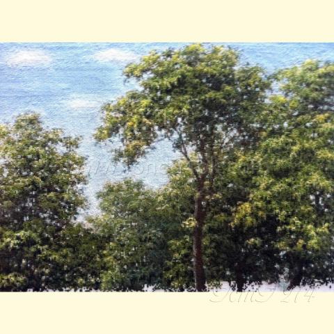 Вышивка - ткань: Аида 18 ct, техника: крестик в 2 нитки<br>Автор вышивки: Валерий Николаевич Зевахин