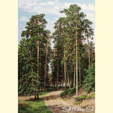 Скрин - компьютерное изображение схемы вышивки