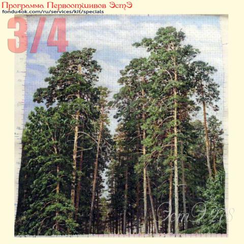 Вышивка - ткань: Страмин-Конгресс 24 ct, техника: петит/полукрест <br>Автор вышивки: Наталья Макарова (наталииии)<br>Программа Первоотшивов 2022, приз 3/4 работы