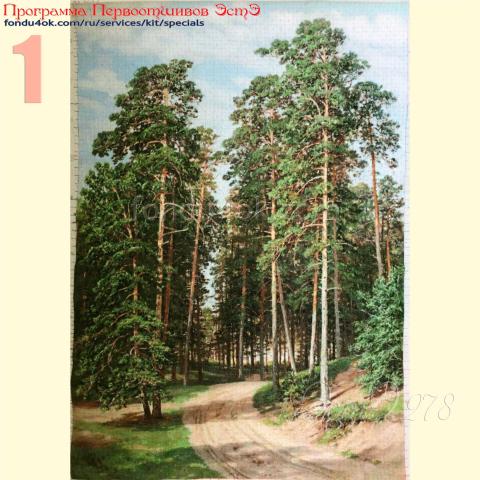 Вышивка - ткань: Страмин-Конгресс 24 ct, техника: петит/полукрест <br>Автор вышивки: Наталья Макарова (наталииии)<br>Программа Первоотшивов 2022