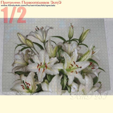 Вышивка - ткань: Лугана 25 ct, техника: петит-полукрест<br>Автор вышивки: Елена Ветрова (Elena_V)<br>Программа Первоотшивов 2017, приз 1/2 работы